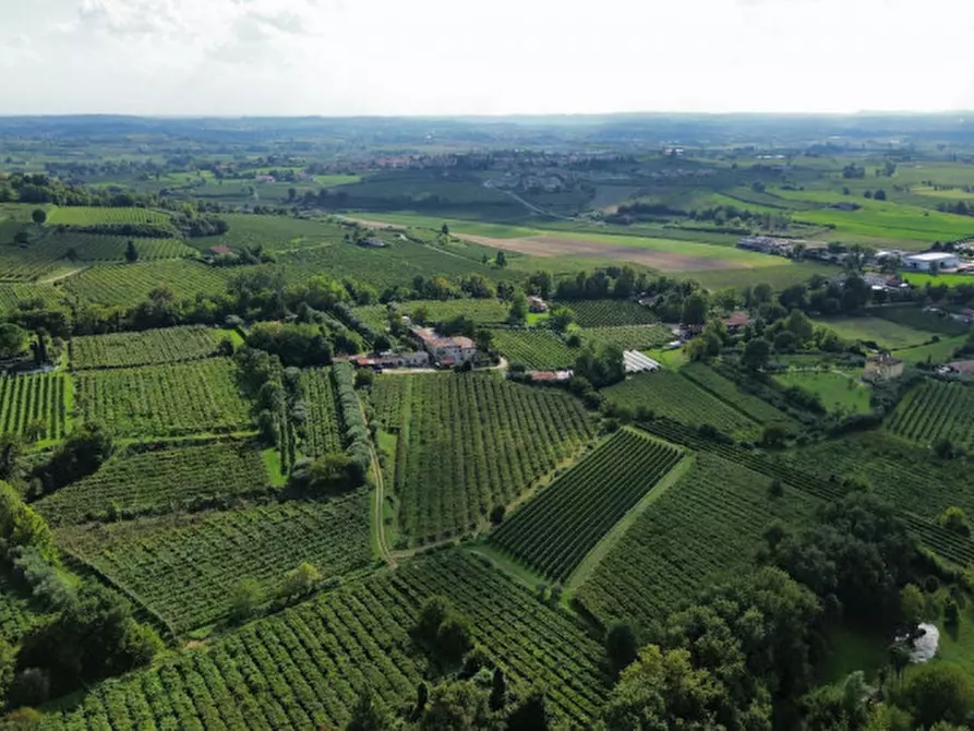 Immagine 15 di Terreno in vendita  in Località Rotti a Bussolengo