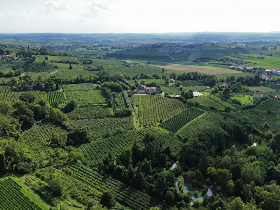 Immagine 16 di Terreno in vendita  in Località Rotti a Bussolengo