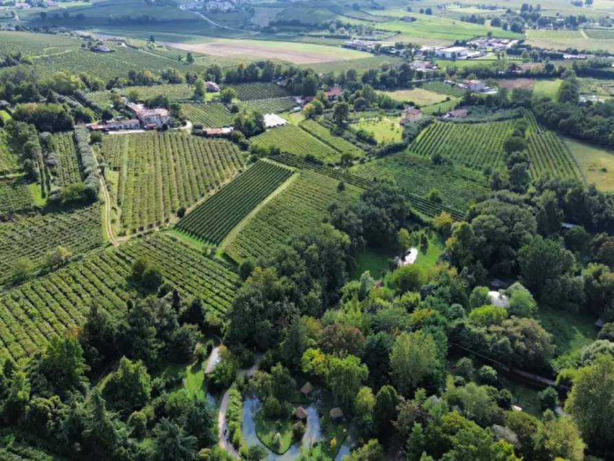 Immagine 17 di Terreno in vendita  in Località Rotti a Bussolengo