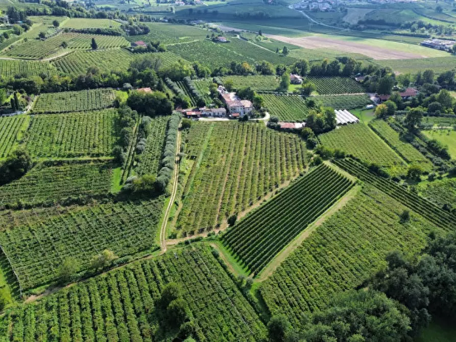 Immagine 18 di Terreno in vendita  in Località Rotti a Bussolengo