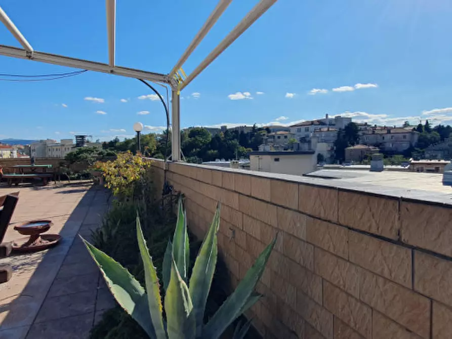 Immagine 3 di Attico in vendita  in Via della Fornace a Trieste