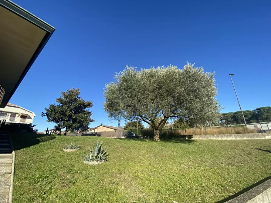 Immagine 44 di Casa indipendente in vendita  in Porto Viro, Via Mantovana a Porto Viro