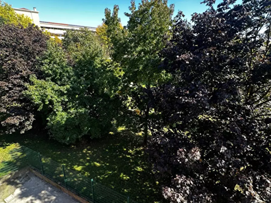 Immagine 15 di Appartamento in vendita  in Via Michelangelo Buonarroti a Padova