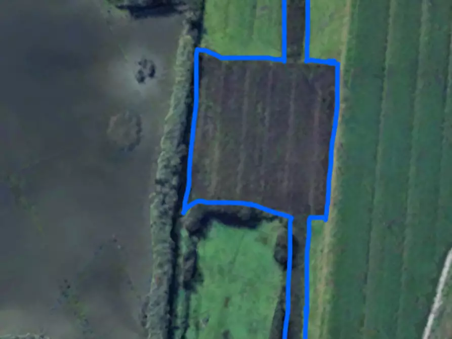 Immagine 1 di Terreno in vendita  in via delle Miccine a Campi Bisenzio