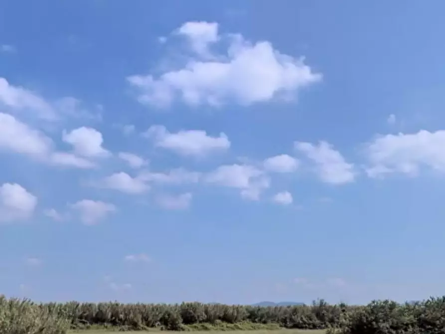 Immagine 2 di Terreno in vendita  in via delle Miccine a Campi Bisenzio