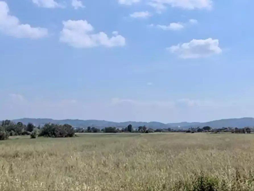 Immagine 3 di Terreno in vendita  in via delle Miccine a Campi Bisenzio