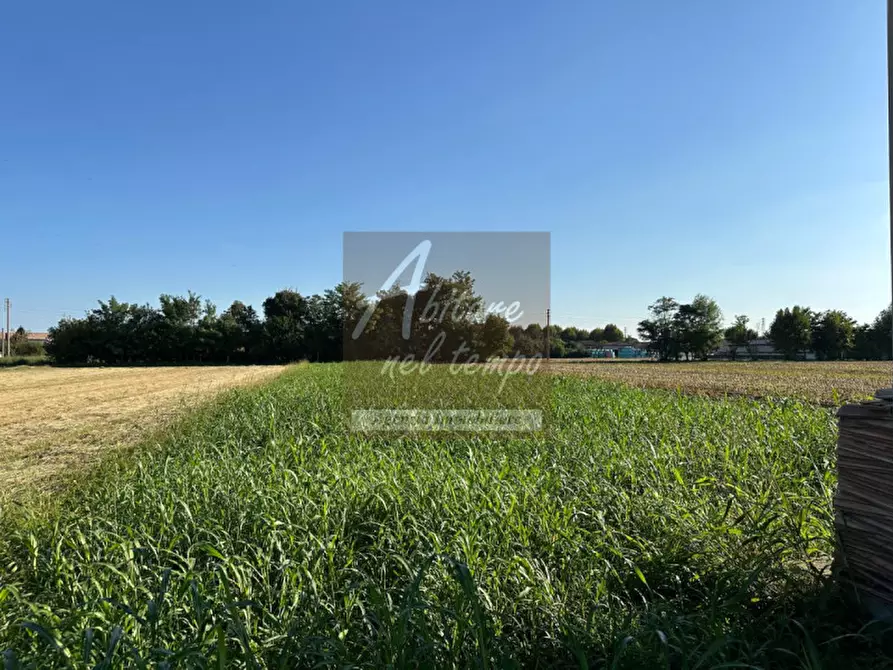 Immagine 12 di Casa bifamiliare in vendita  in Via Sant'Antonio a Cittadella