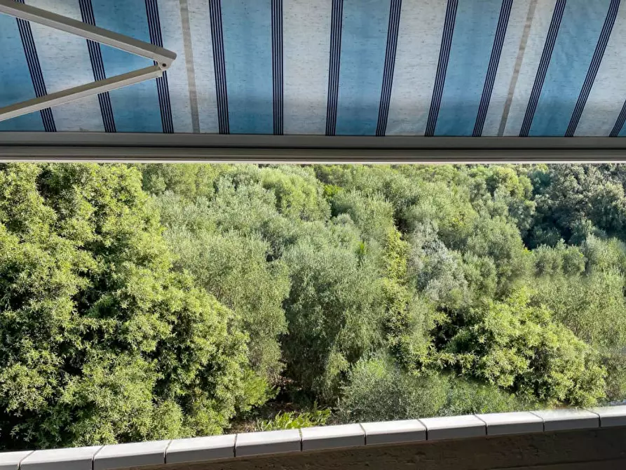 Immagine 6 di Appartamento in vendita  in Via Papa Giovanni XXIII a Castiglione Della Pescaia