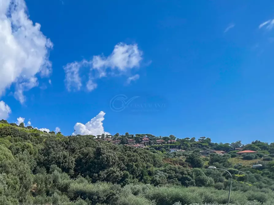 Immagine 7 di Appartamento in vendita  in Via Papa Giovanni XXIII a Castiglione Della Pescaia