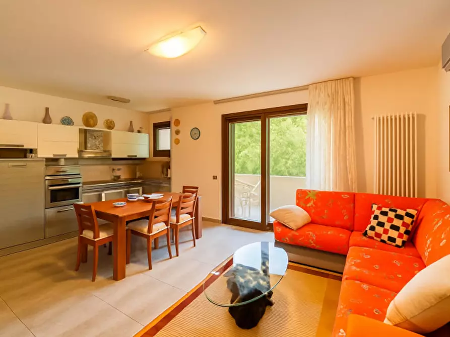 Immagine 15 di Appartamento in vendita  in Via Papa Giovanni XXIII a Castiglione Della Pescaia