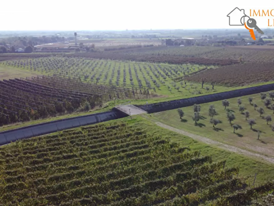 Immagine 1 di Terreno in vendita  in via Cappello a Sommacampagna