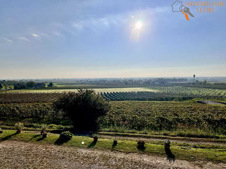 Immagine 3 di Terreno in vendita  in via Cappello a Sommacampagna
