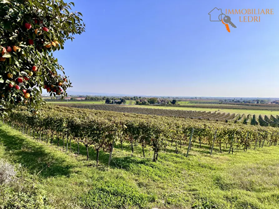 Immagine 4 di Terreno in vendita  in via Cappello a Sommacampagna