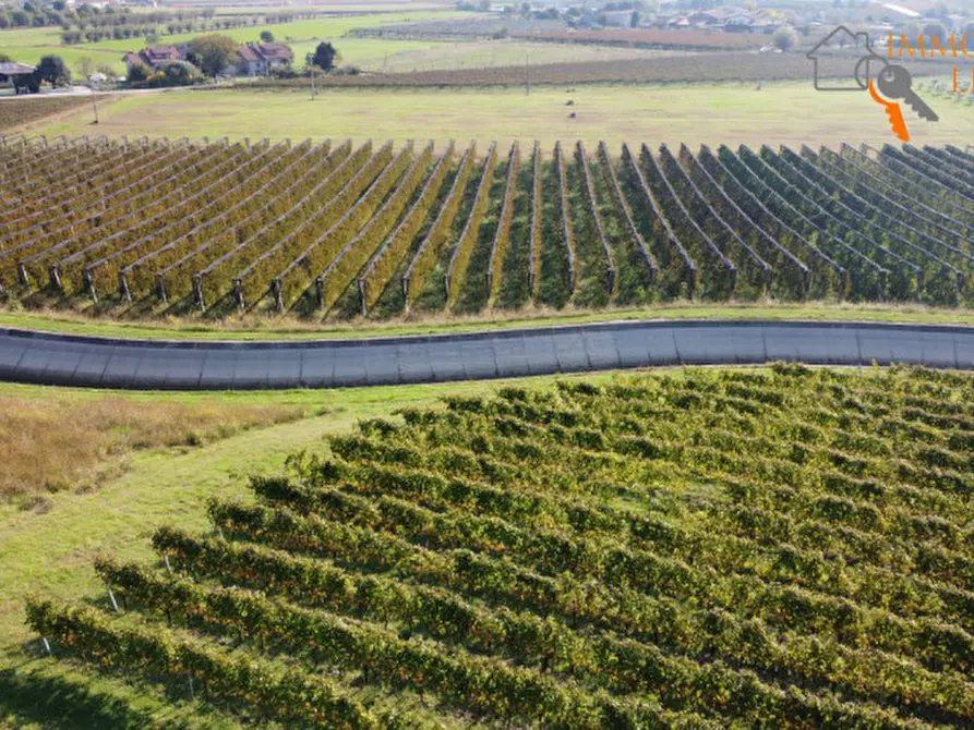 Immagine 5 di Terreno in vendita  in via Cappello a Sommacampagna
