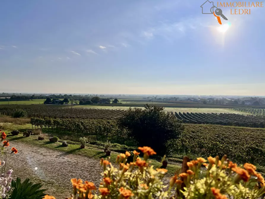 Immagine 14 di Terreno in vendita  in via Cappello a Sommacampagna
