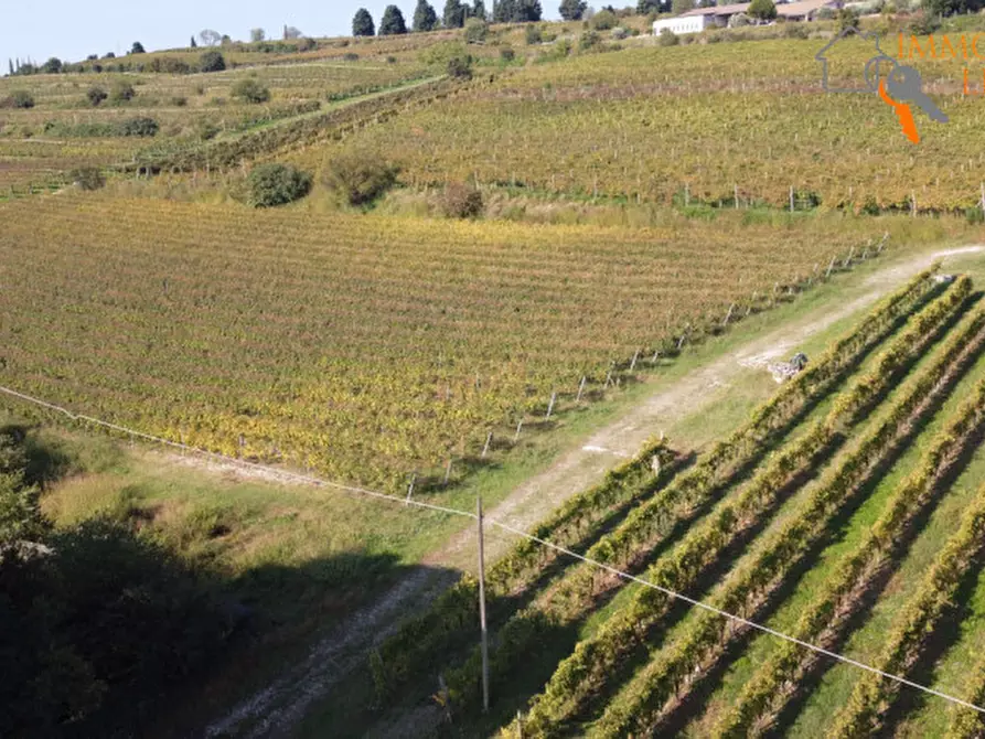 Immagine 22 di Terreno in vendita  in via Cappello a Sommacampagna