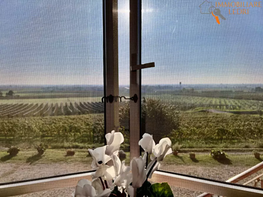 Immagine 25 di Terreno in vendita  in via Cappello a Sommacampagna