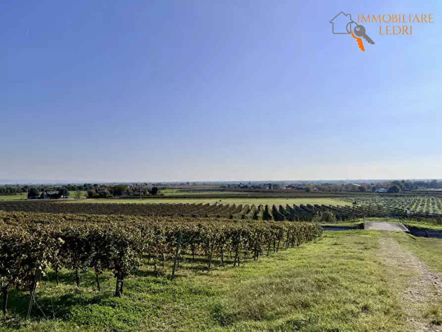 Immagine 34 di Terreno in vendita  in via Cappello a Sommacampagna