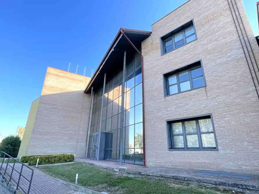 Immagine 2 di Ufficio in affitto  a Conselve