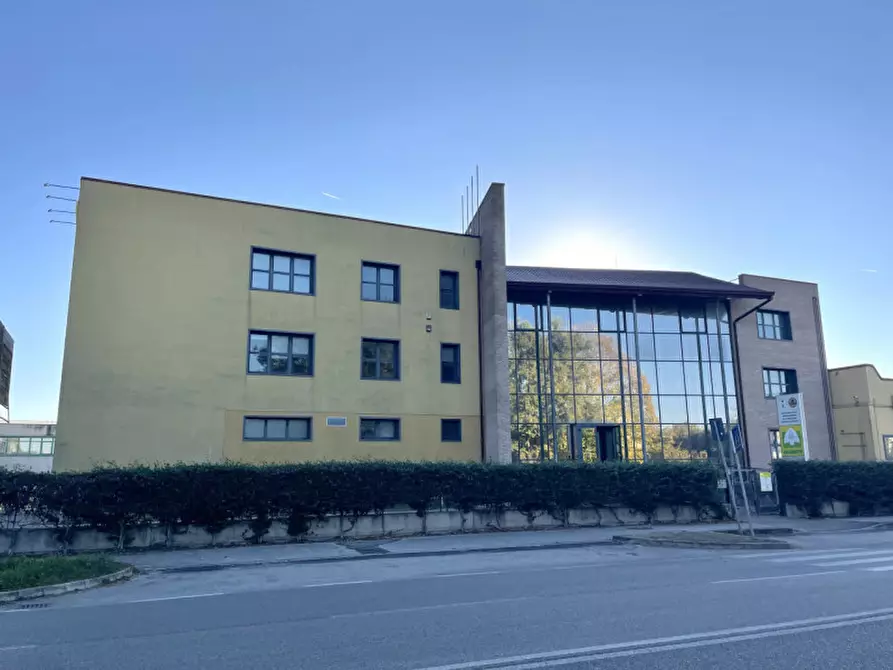 Immagine 5 di Ufficio in affitto  a Conselve