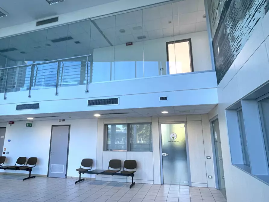 Immagine 7 di Ufficio in affitto  a Conselve