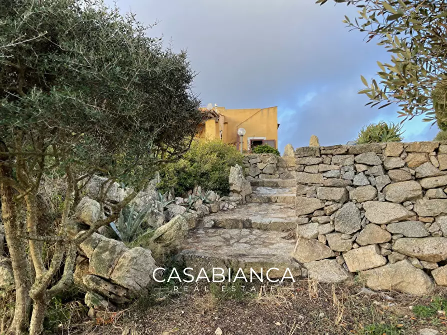 Immagine 16 di Villa in vendita  in Via Capizza di Vacca 27 a Santa Teresa Gallura
