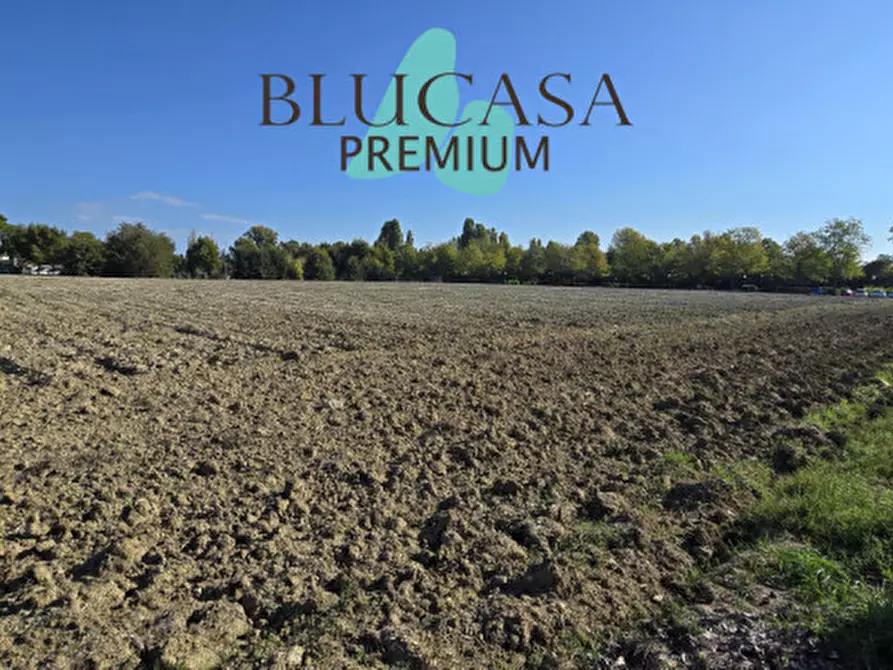 Immagine 1 di Terreno in vendita  in Via San Silvestro a Faenza