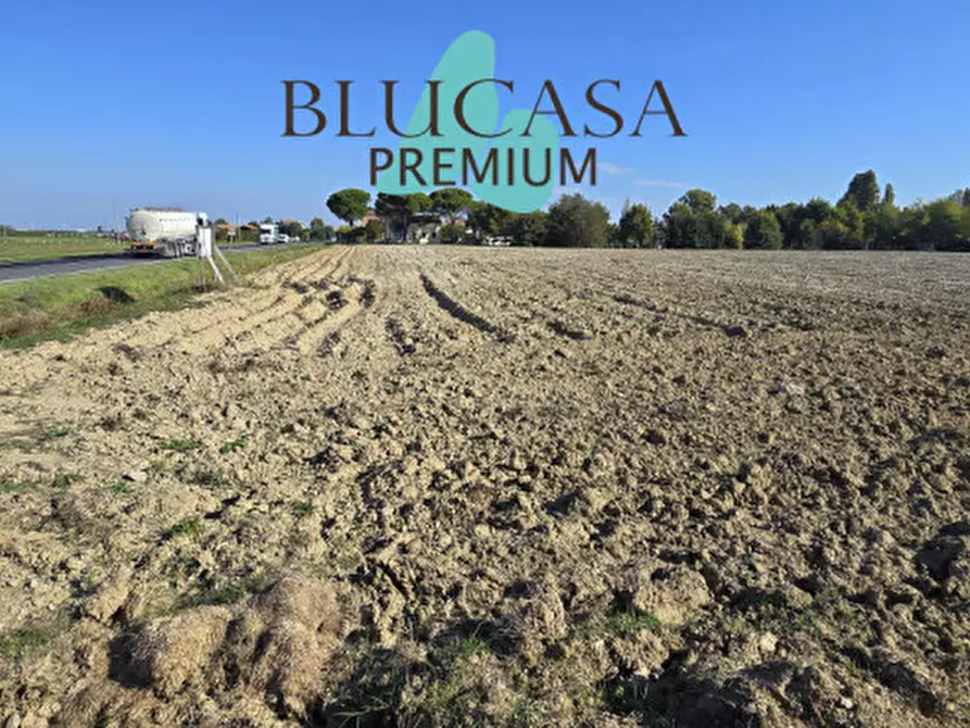 Immagine 2 di Terreno in vendita  in Via San Silvestro a Faenza