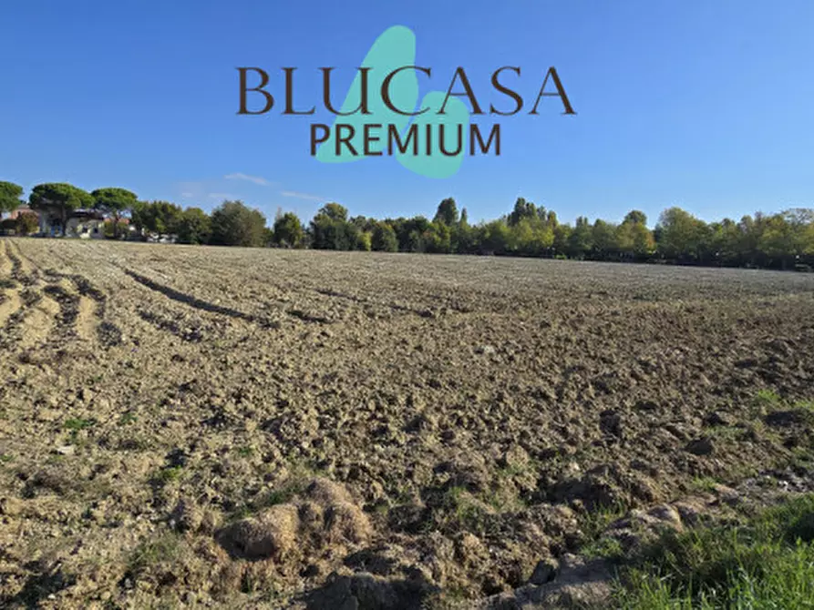 Immagine 3 di Terreno in vendita  in Via San Silvestro a Faenza