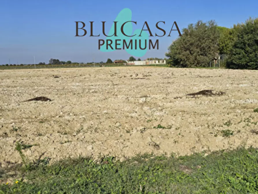 Immagine 6 di Terreno in vendita  in Via San Silvestro a Faenza