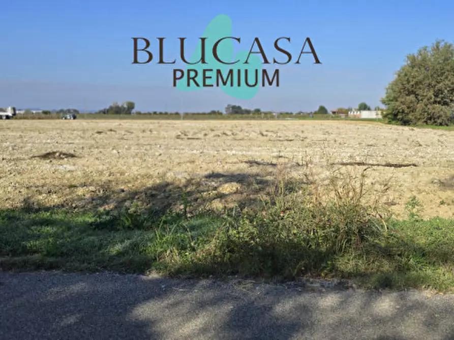 Immagine 8 di Terreno in vendita  in Via San Silvestro a Faenza