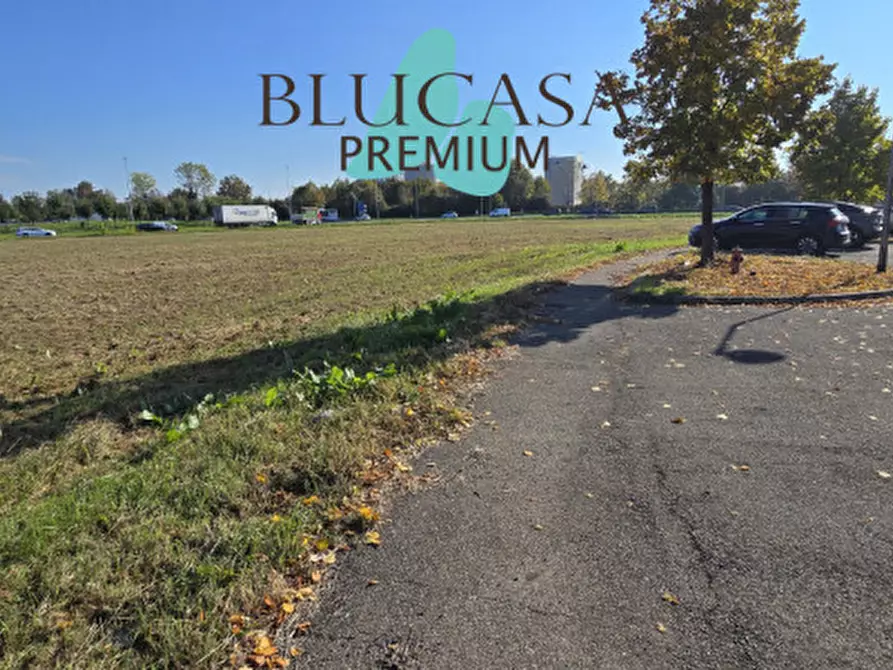 Immagine 10 di Terreno in vendita  in Via San Silvestro a Faenza