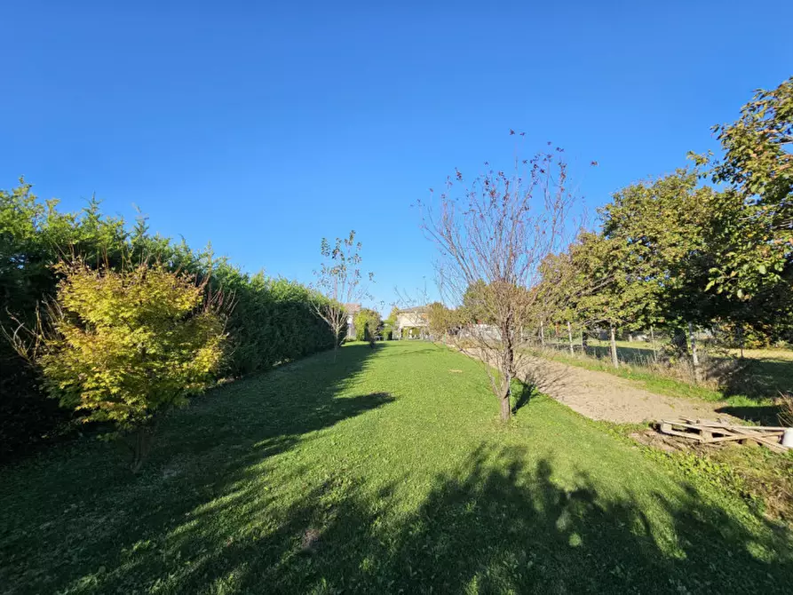 Immagine 6 di Casa bifamiliare in vendita  in VIA BORGO BRUSà a Poiana Maggiore