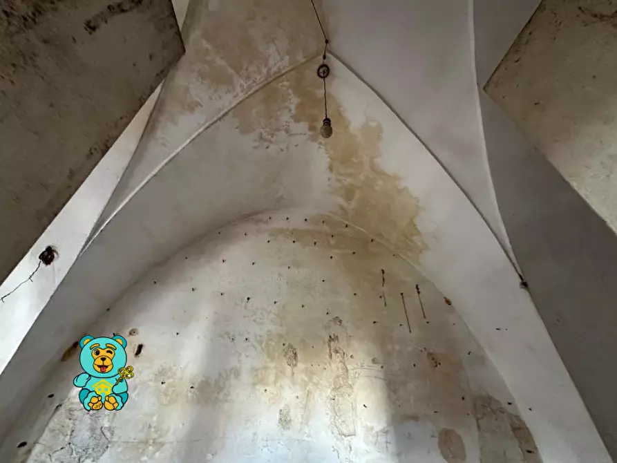 Immagine 72 di Casa indipendente in vendita  in via Nazario Sauro 2 a Copertino