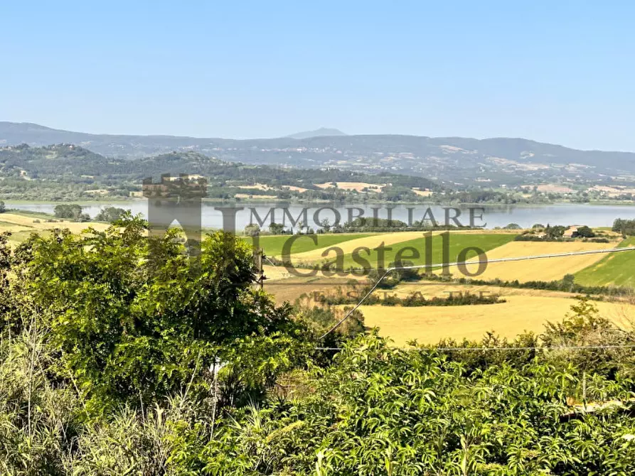 Immagine 17 di Villa in vendita  in Via Roma a Castiglione Del Lago