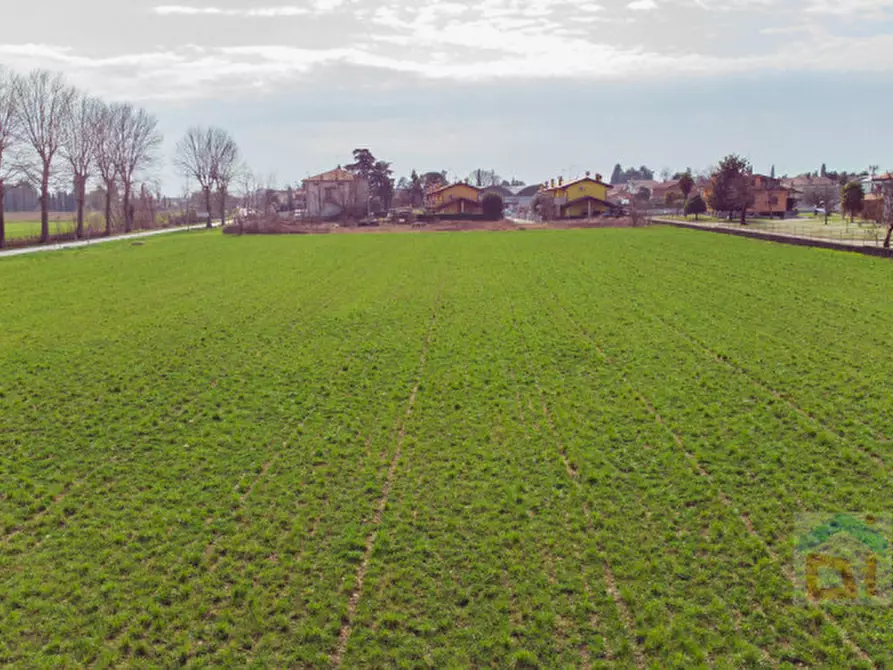 Immagine 18 di Terreno in vendita  in via Pietro Zorutti 33 a Santa Maria La Longa