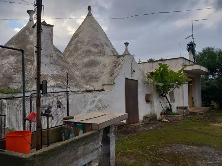 Immagine 3 di Rustico / casale in vendita  in C.da Cotogni a San Michele Salentino