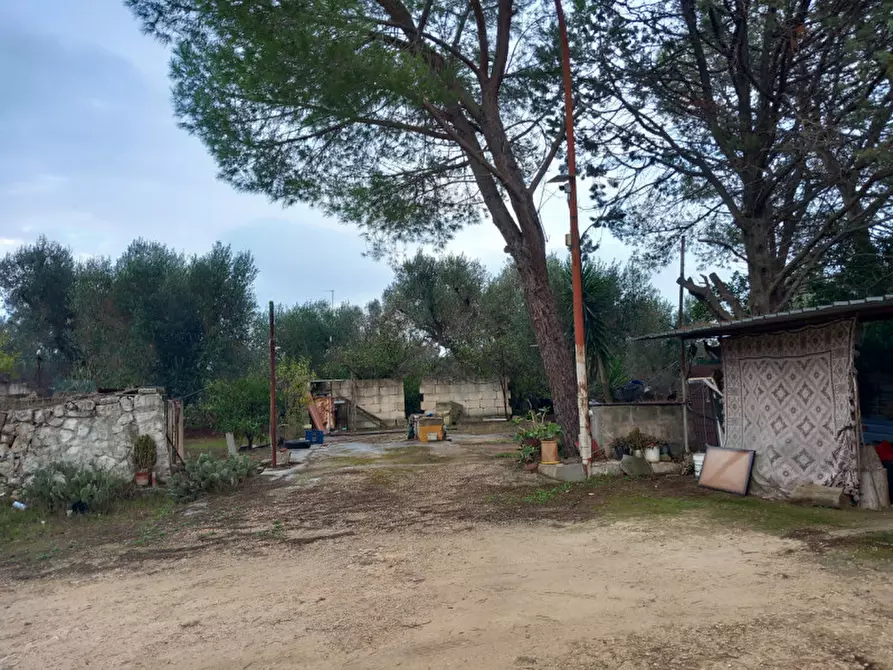 Immagine 16 di Rustico / casale in vendita  in C.da Cotogni a San Michele Salentino