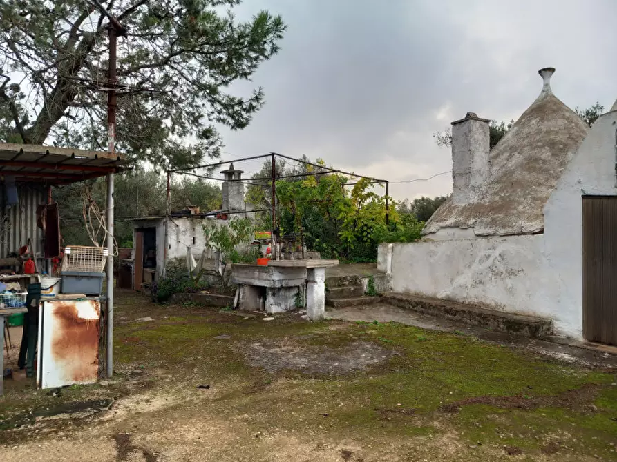 Immagine 17 di Rustico / casale in vendita  in C.da Cotogni a San Michele Salentino