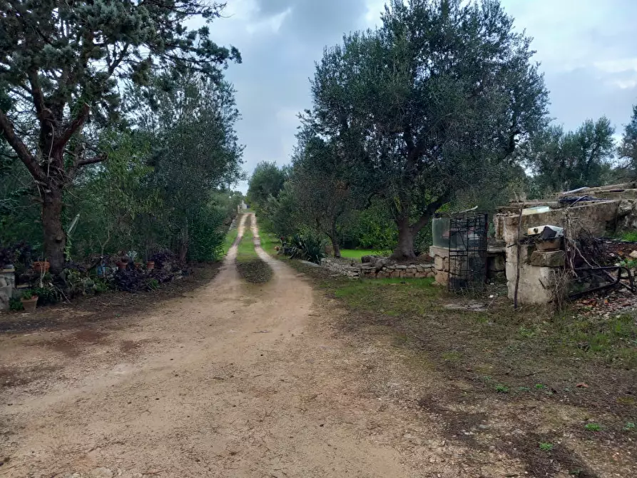 Immagine 18 di Rustico / casale in vendita  in C.da Cotogni a San Michele Salentino