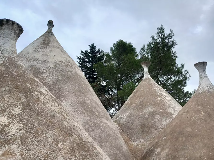 Immagine 22 di Rustico / casale in vendita  in C.da Cotogni a San Michele Salentino
