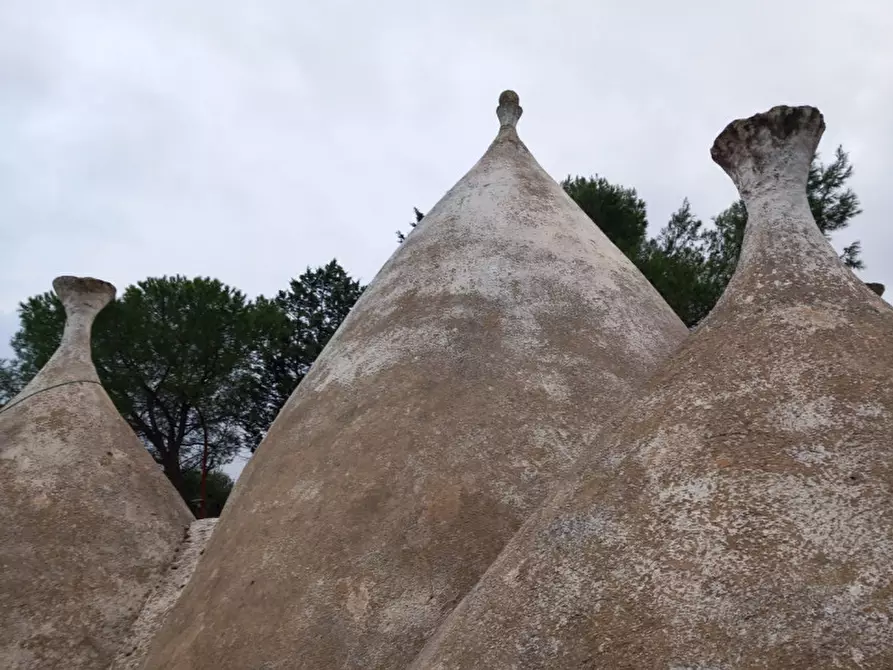 Immagine 23 di Rustico / casale in vendita  in C.da Cotogni a San Michele Salentino