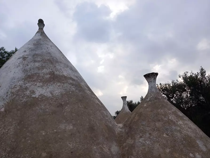 Immagine 24 di Rustico / casale in vendita  in C.da Cotogni a San Michele Salentino