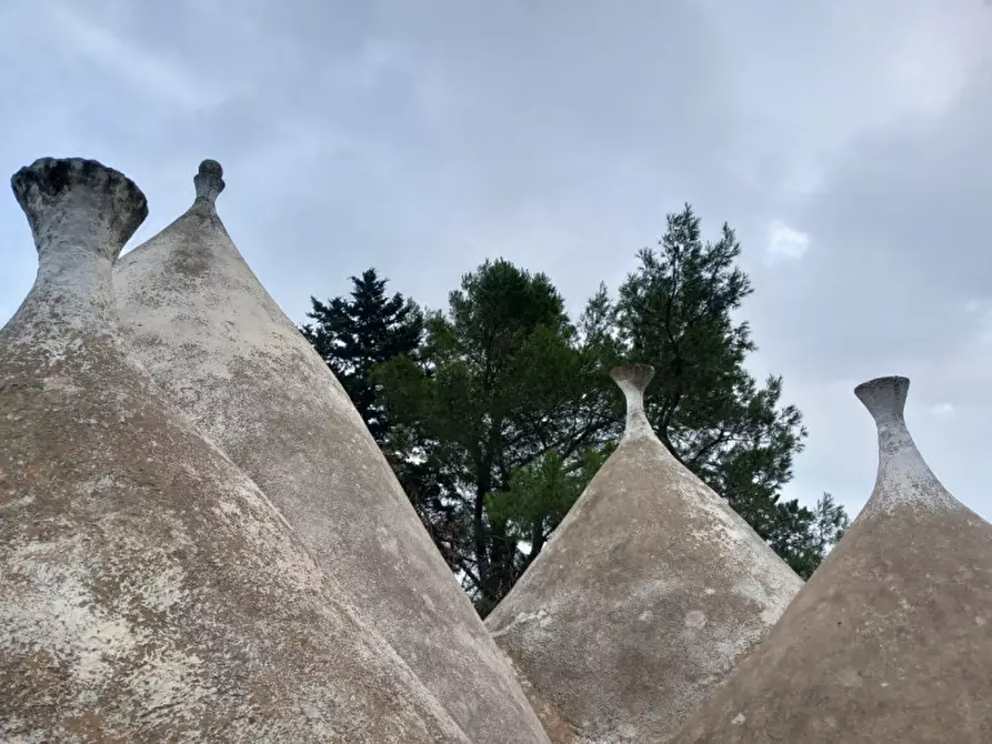 Immagine 25 di Rustico / casale in vendita  in C.da Cotogni a San Michele Salentino