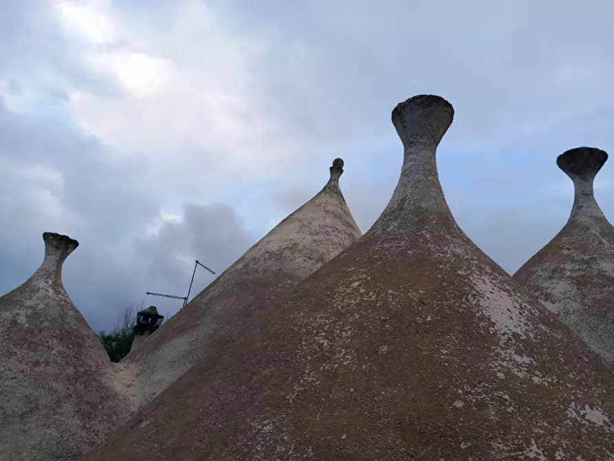 Immagine 26 di Rustico / casale in vendita  in C.da Cotogni a San Michele Salentino