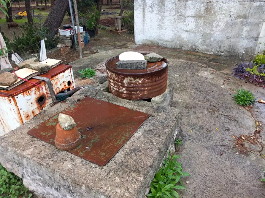 Immagine 27 di Rustico / casale in vendita  in C.da Cotogni a San Michele Salentino