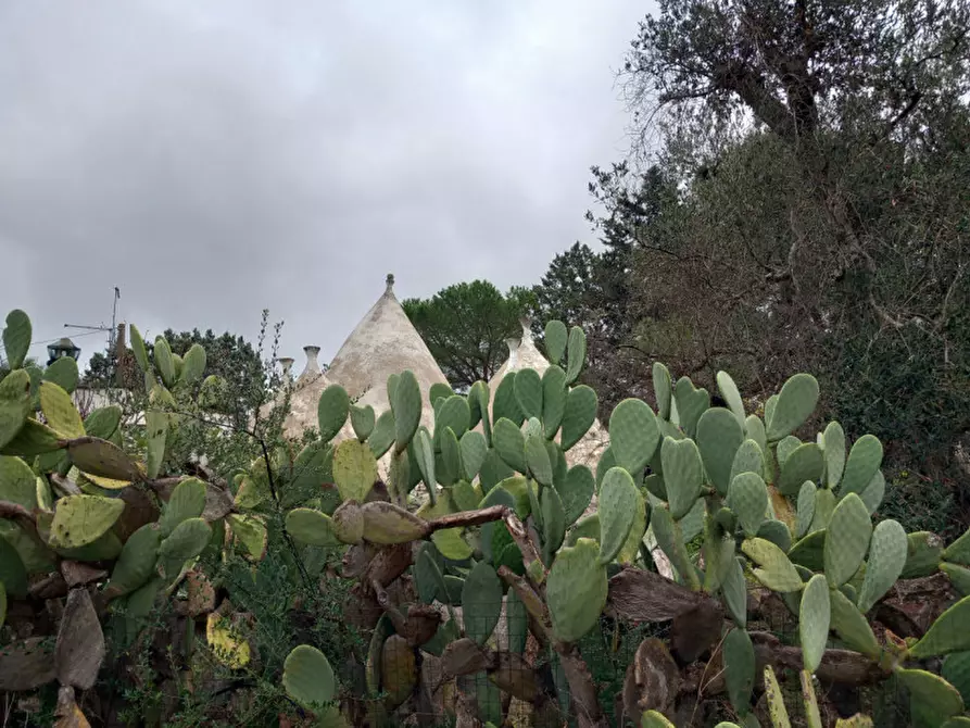 Immagine 29 di Rustico / casale in vendita  in C.da Cotogni a San Michele Salentino