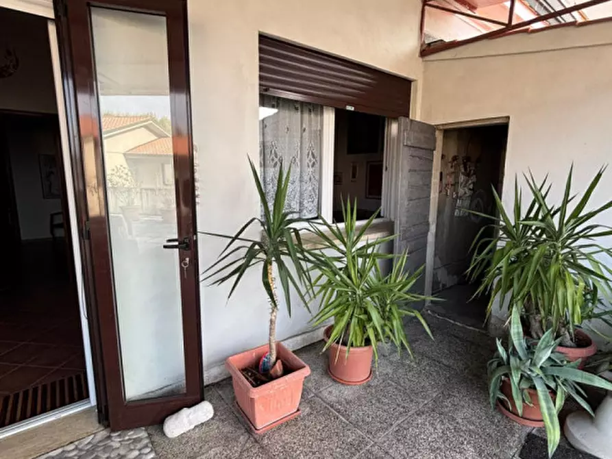 Immagine 8 di Appartamento in vendita  a Badia Polesine