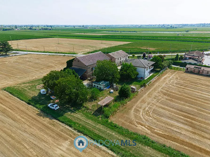 Immagine 3 di Casa indipendente in vendita  in VIA SP96,37 a Candiana