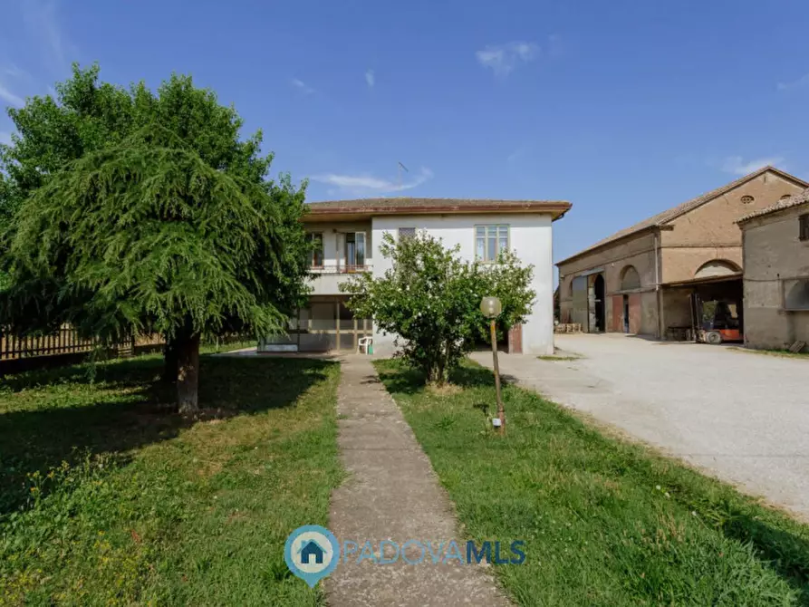 Immagine 6 di Casa indipendente in vendita  in VIA SP96,37 a Candiana